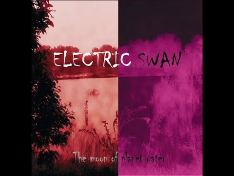 Electric swan the moon of planet water