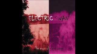 Electric swan the moon of planet water