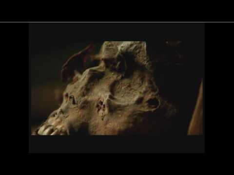 Storia dell'Antico Egitto: La Lotta Per La Riunificazione - Ep.12