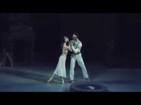 Olga Smirnova & Semyon Chudin in  La Bayadère    Dance&Ballet