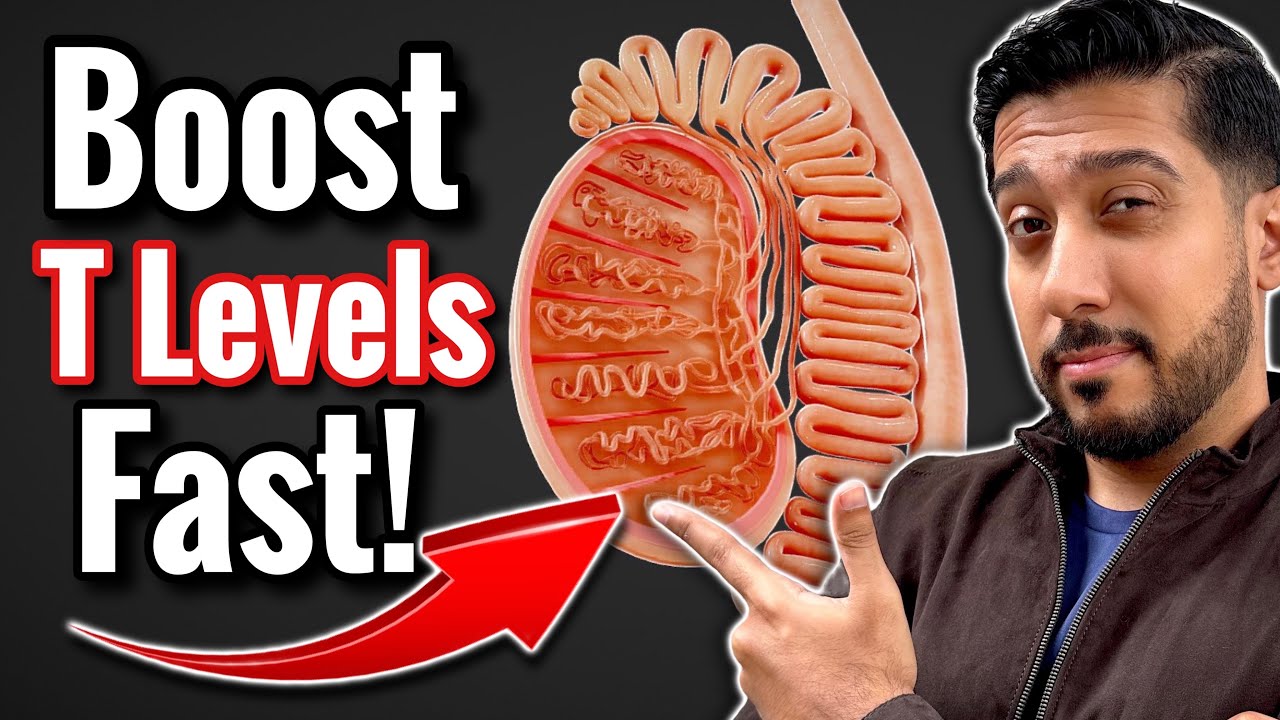 How to Increase Testosterone FAST in 10 Steps | What Increases Testosterone?