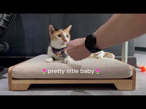 Pretty little baby 🎶