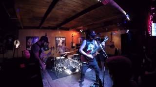 Noble Insect - Molecules