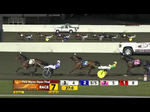 TVG Mares Open Final - Venus Delight - November 20, 2015