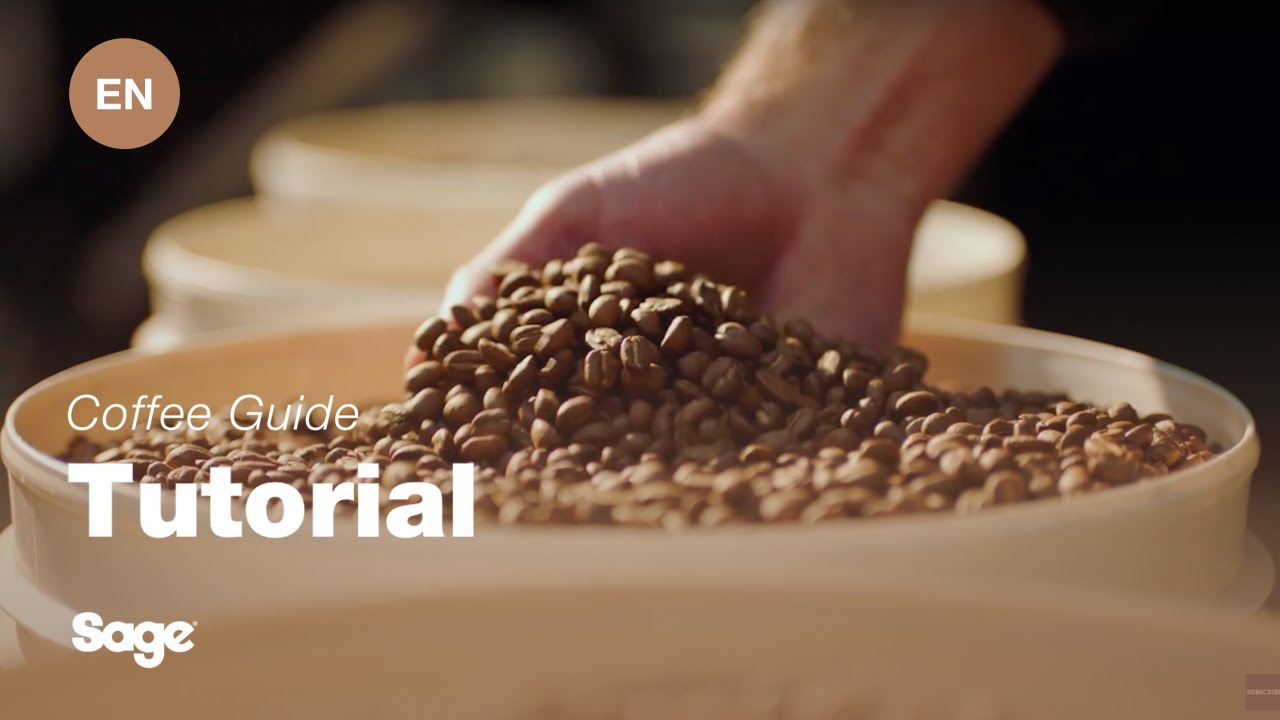 Brevilles handledning för att göra kaffe - Att välja rätt bönor