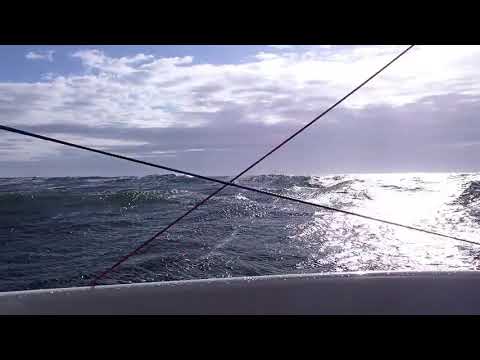 Should have stayed home  G32 Incognito