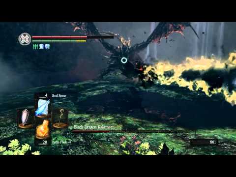 Dark Souls PTDE - Kalameet Fight (Mage-style)