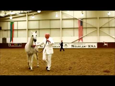 UKIAHS 2015 BY DEE HAGGARD