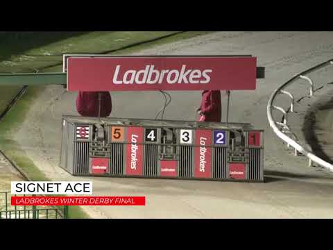 Signet Ace - Labrokes Winter Derby