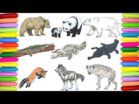 Wild animals coloring pages Ep.2