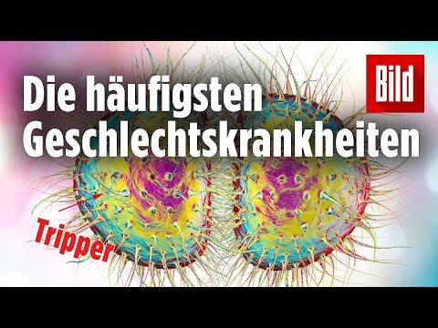 Die häufigsten Geschlechtskrankheiten Deutschlands