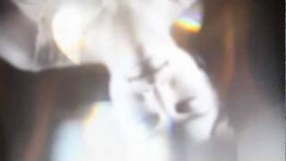 Daedelus - Righteous Fists of Harmony [Brainfeeder] [Official HD]
