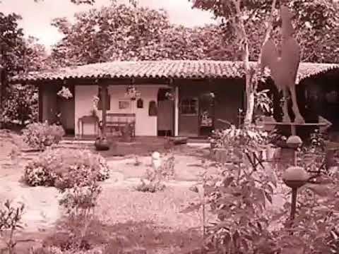 Y en cambio tú - Los Vikings de Usulután