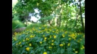 Dax Johnson - Fear Of Light