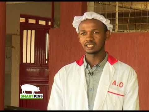 Alternative markets for pig farmers - Part 2