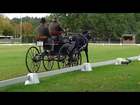 Fahrturnier Olfen 2.10.2021