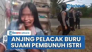 Anjing Pelacak Dikerahkan Buru Suami Pembunuh Istri dan Bacok Anak di Mamuju Tengah, Pelaku Kabur