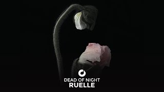 Ruelle - Dead Of Night