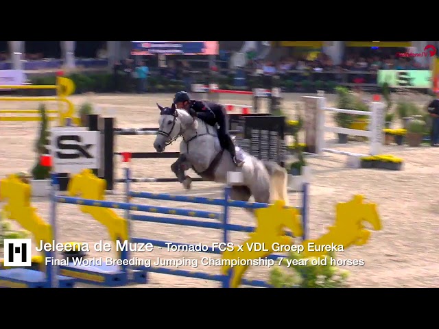 Grandmother of this Implanted Embryo is the Dutch Champion CSI 1.60m mare VDL Groep Eureka with rider Maikel van der Vleuten.