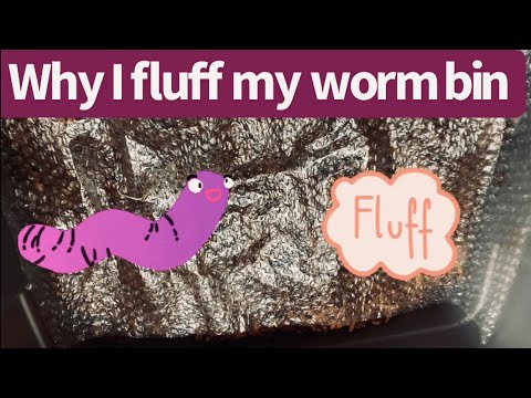 Why I fluff my worm bin