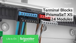 Discover Terminal Blocks Solution in PrismaSeT XS 24 Module Enclosures | Schneider Electric Support