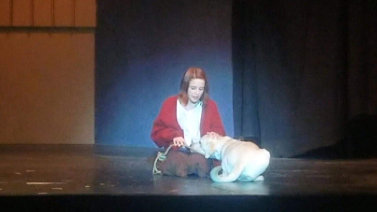 Adorable Amputee Dog Lands Role As Sandy In a School Production Of Annie