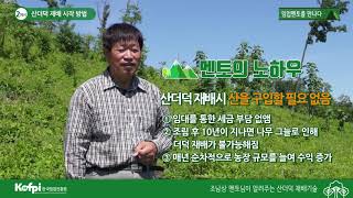 [산더덕2] 산더덕 재배 시작 방법