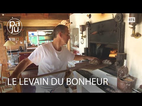 Ils font du pain comme autrefois, de la semence jusqu'au four à bois