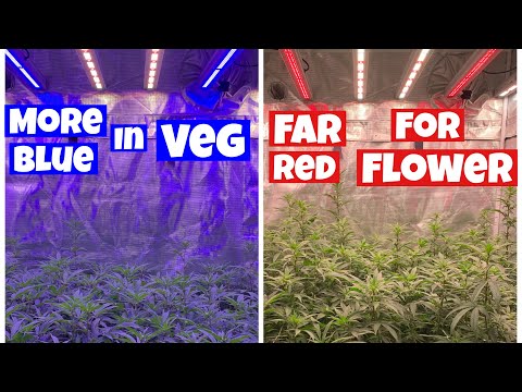 YouTube video about: How to use full red/far red flower booster lights?
