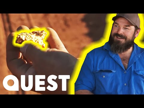 The Biggest Gold Hauls Of Season 8… So Far! | Aussie Gold Hunters