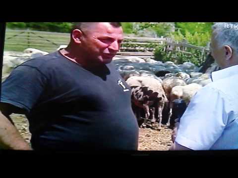 Blektoria ne Rahovec