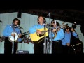 The Country Gentlemen  -   Bluebirds Are Singing For Me