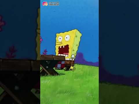 A Normal Day as MPD in Miami