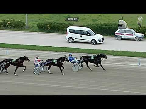 Aversa trotto 21 Novembre 2020 - 1° Corsa