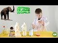 Elephant Toothpaste Experiment for kids with hydrogen peroxide and baking yeast!