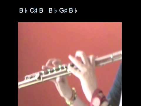 Flute Cover - Letters from Bolvangar (from The Golden Compass)