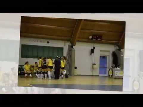 Pallavolo Meduna Stagione 2014-2015  Under18  2divisione