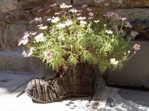 CASA RINA - KOMFORTWOHNUNGEN IN GRAVEDONA