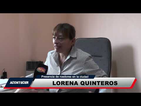 Marcos Juárez: Proliferación de roedores en la ciudad. La palabra de Zoonosis Municipal