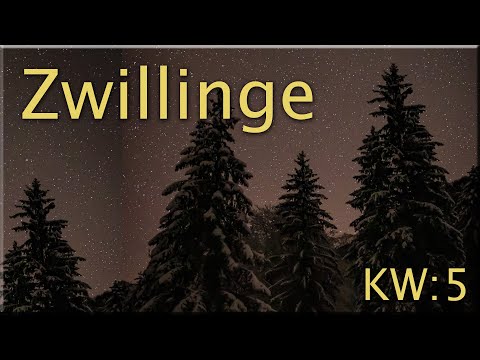 ♊ Zwillinge - KW 5 ♊  -  Tarot Wochenausblick  -