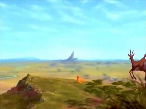 explicacion del ciclo de la vida.wmv