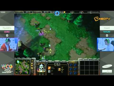 WCG 2012 Steelseries.Fly vs HawK [ENG]