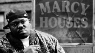 Beanie Sigel - Remember Them Days (Instrumental)