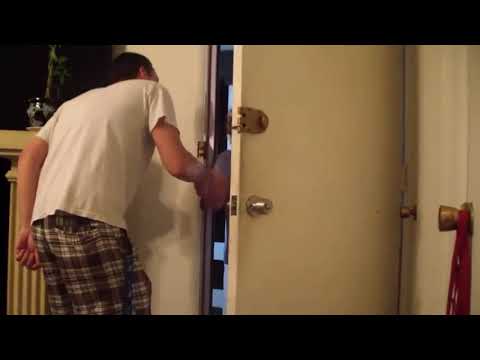 Talking Kitty Cat 26 - No Pets Allowed