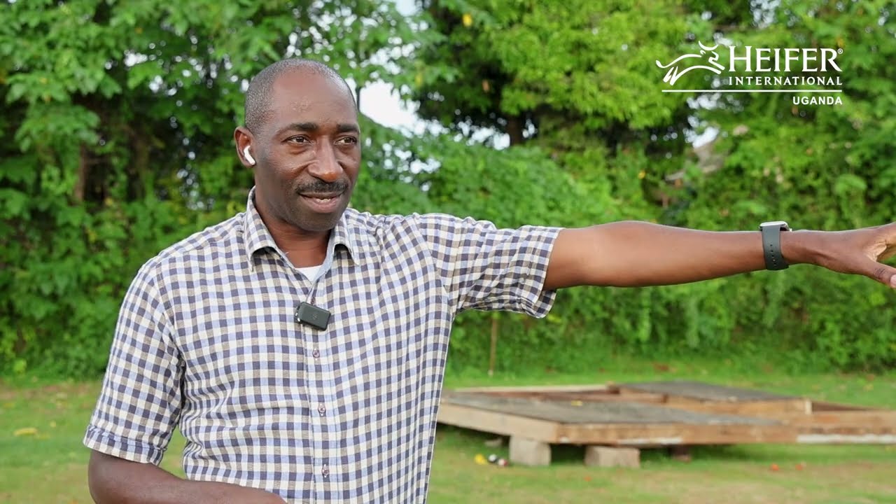 Youth Agribusiness empowering Communities in Uganda | @heifer_uganda  x @MastercardFoundation