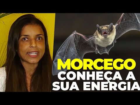 Morcego: conheça essa energia com a Vidente Vandinha Lopes