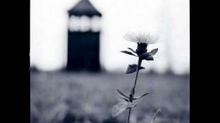 Bourbonese Qualk   Keep Pushing