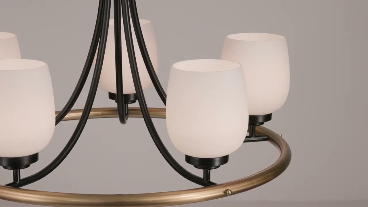Video 1 Watch A Video About the Carrigan Black and Gold 5 Light Ring Chandelier