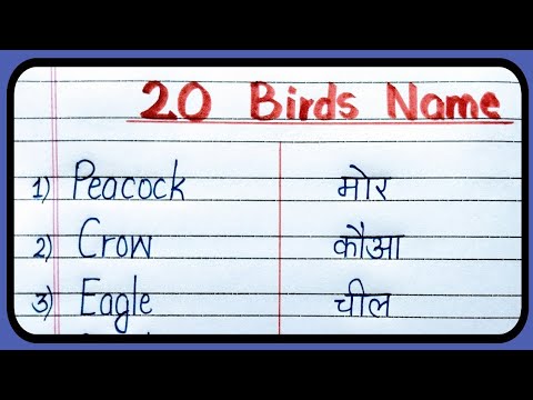 20 Birds name in English and Hindi, Birds name in Hindi and English, chidiyo k naam