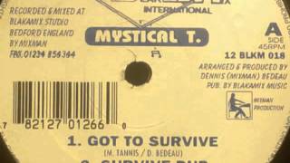 Mystical T ‎– Got To Survive + Dub (Blakamix 12" ,1995)